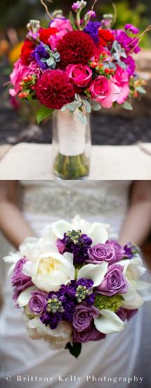 shultzwedcarleajphoto_8
